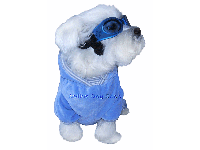 bitte darauf klicken